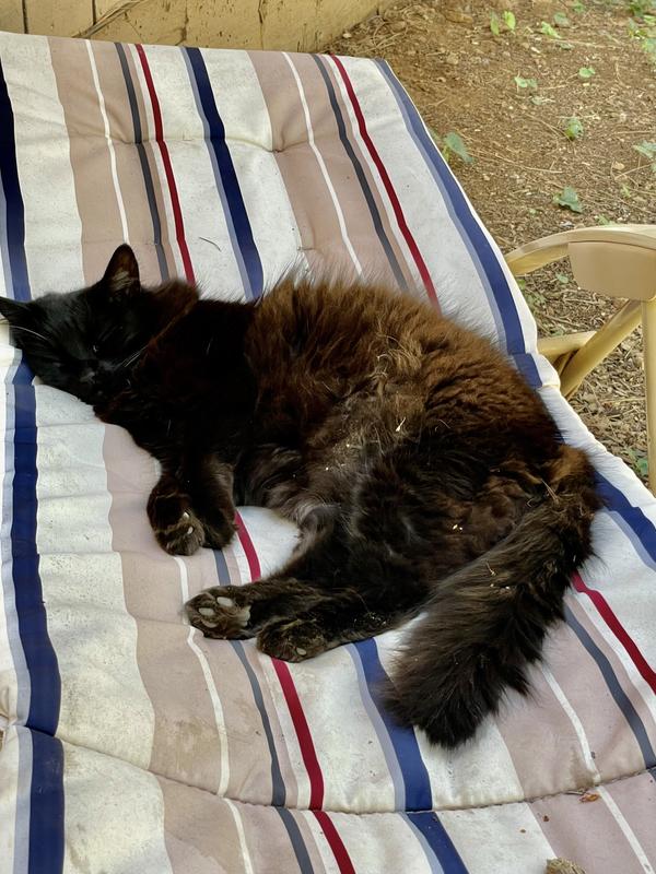 Enjoying the outdoors