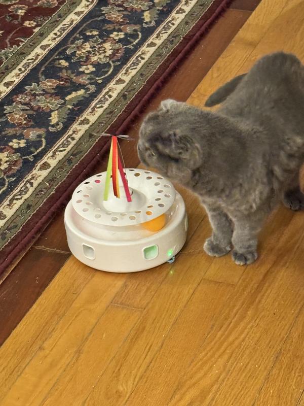 17 year old Blair engaging with a new toy