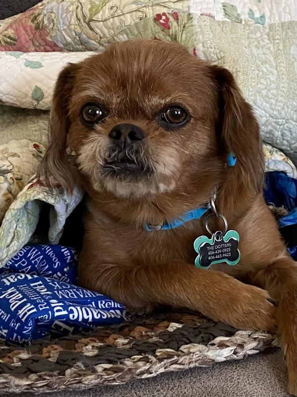 Just snuggling with my hot pack