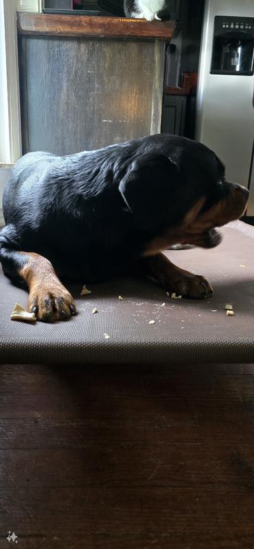 Norma After five minutes.