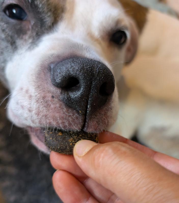 Lorna gave it two dog thumbs up