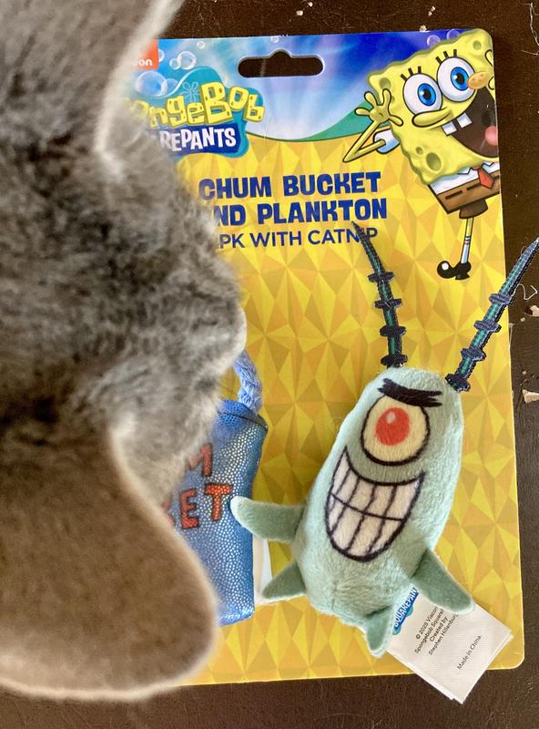 She can't wait!