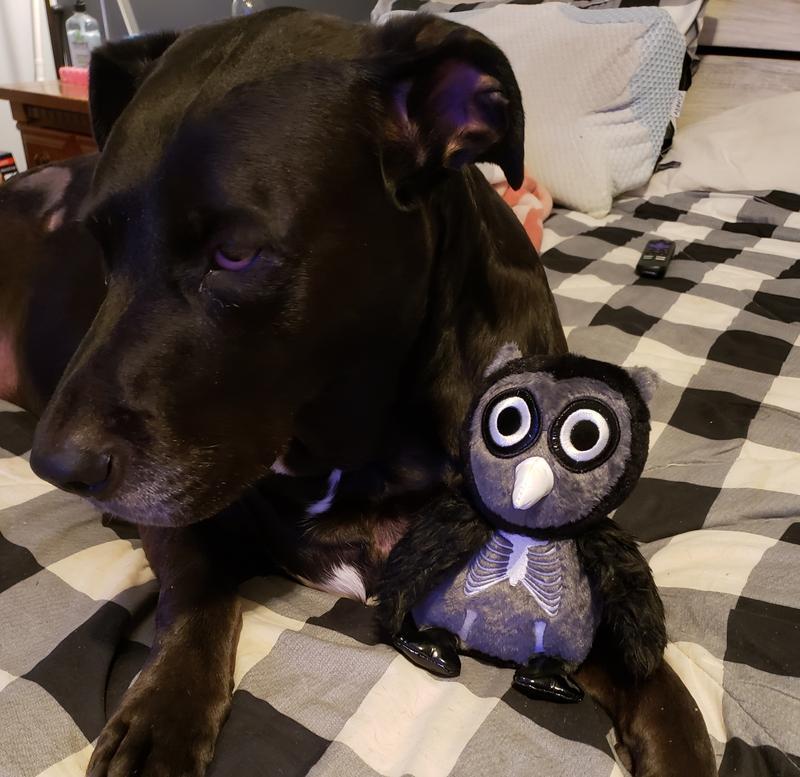 My boys new best friend