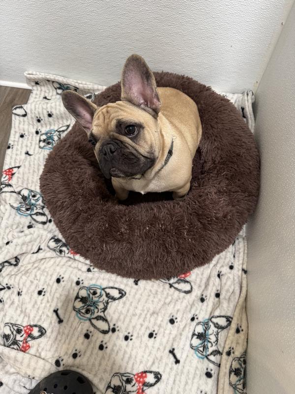 He loves it