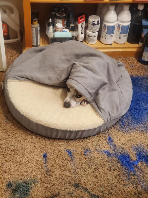 Maxx doesn't care 8f his bed is in the art room or living room. He LOVES his Firhaven bed.