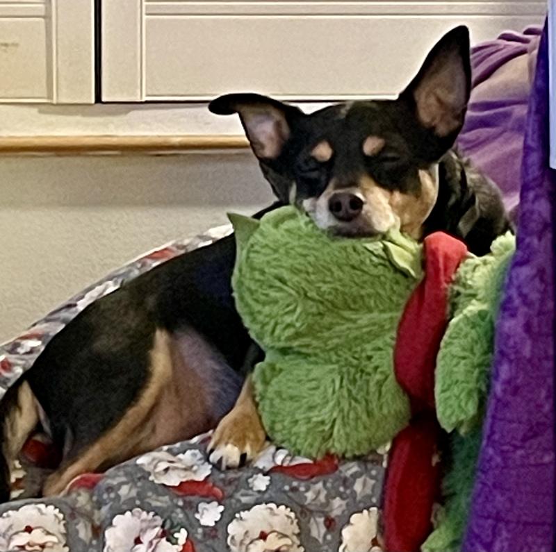 Full tummy = happy tummy