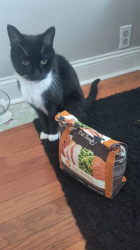 sensitive stomach cat