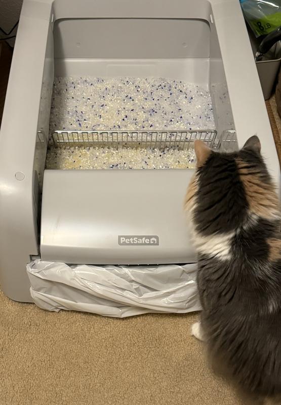 PETSAFE ScoopFree Clumping SelfCleaning Cat Litter Box