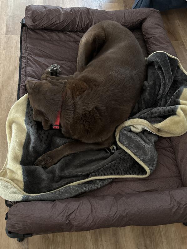 Do not disturb please