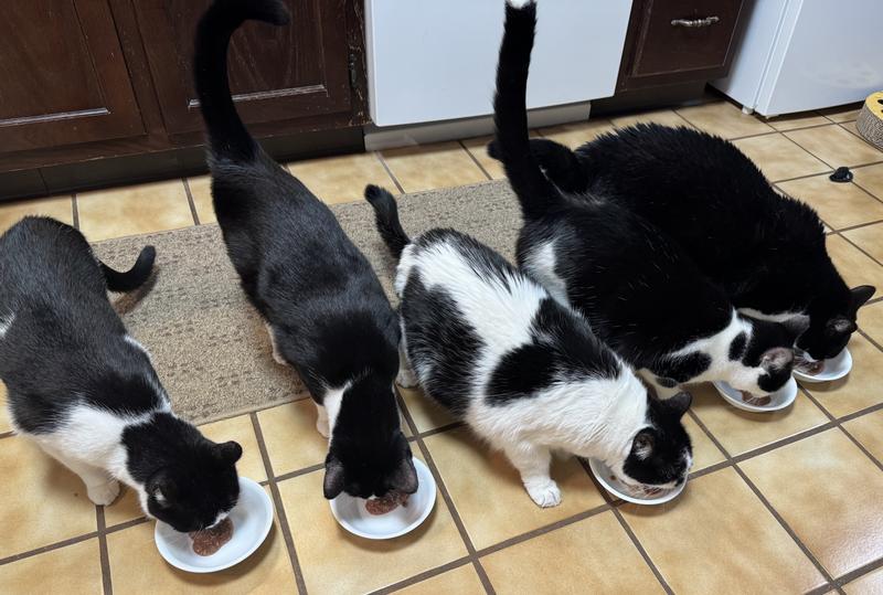 They fell in line right away!