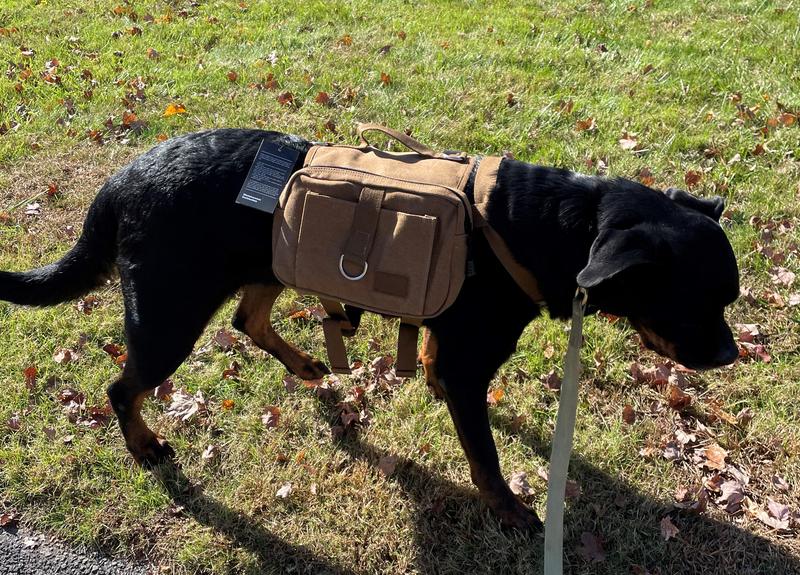 first walk with backpack, she was a little scared to walk at first with it on her.