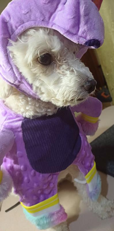 Looking really cute!