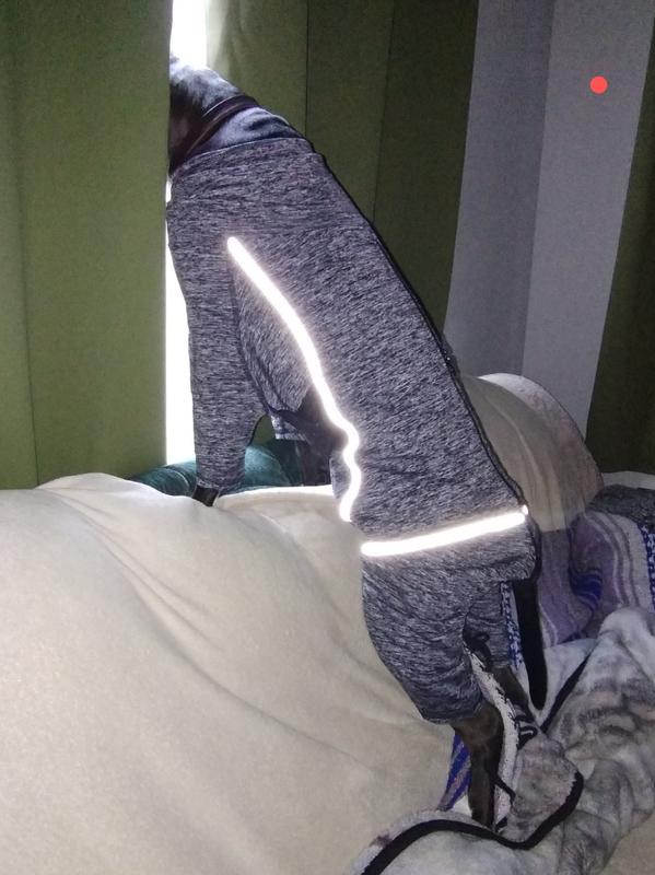 KURGO Stowe Base Layer Dog Sweater, Heather Black, XSmall