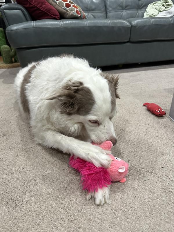 Bright, vibrant colors