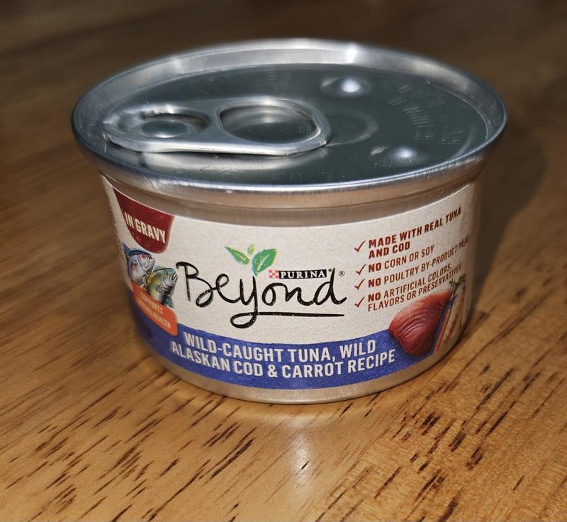 Beyond wild cat food reviews hotsell