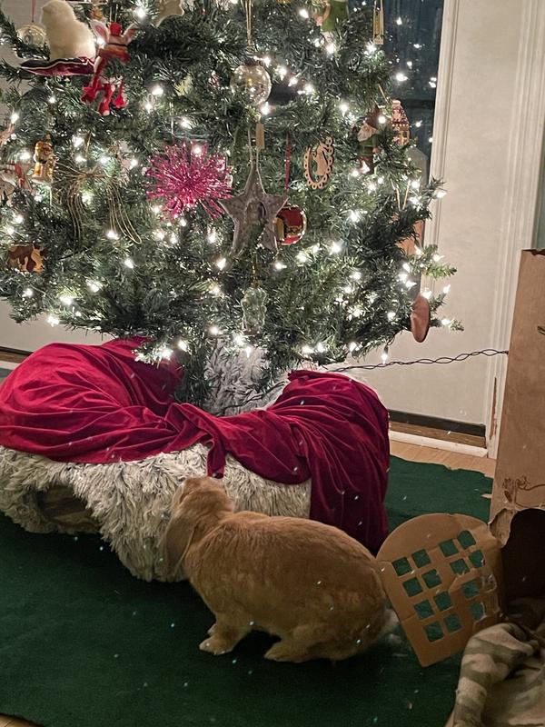 I’m using it as a deterrent to Jasper chewing on the tree branches-it works!