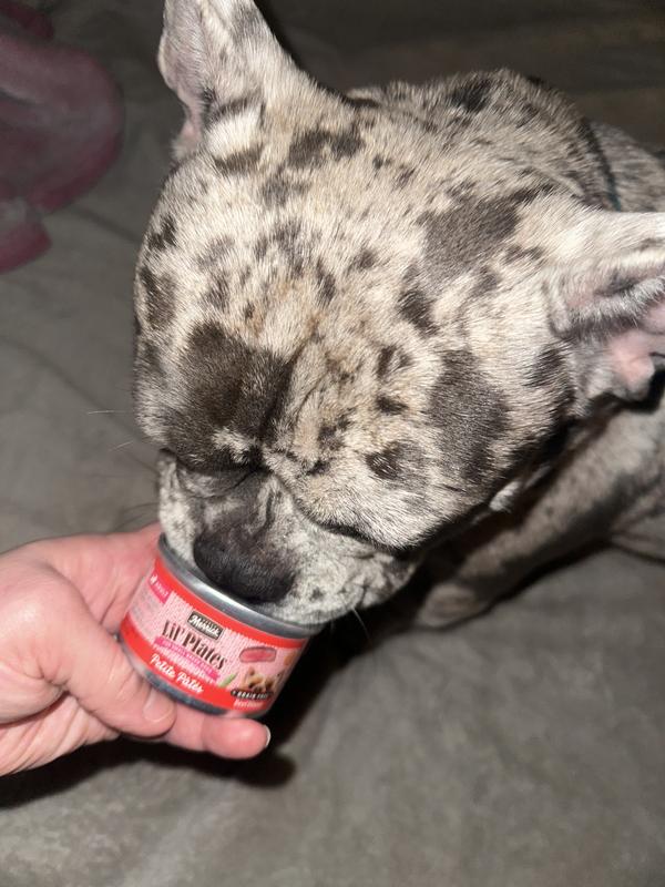 Enjoyable product Happy Doggy Happy Owner🙌🏼