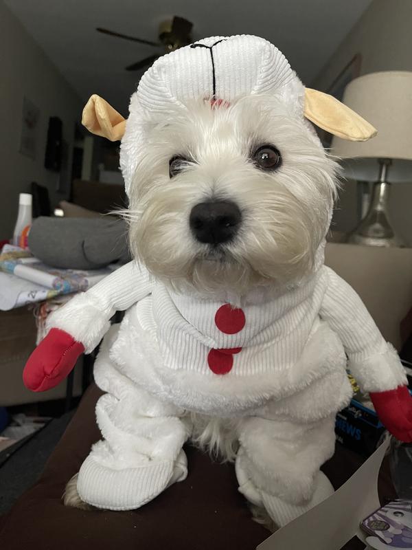 RUBIE'S COSTUME COMPANY Lamb Chop Dog Costume reviews