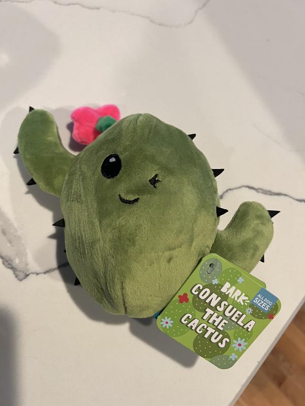 BARK Cactus Rip & Reveal Squeaky Plush Dog Toy, Green, Small - Chewy.com