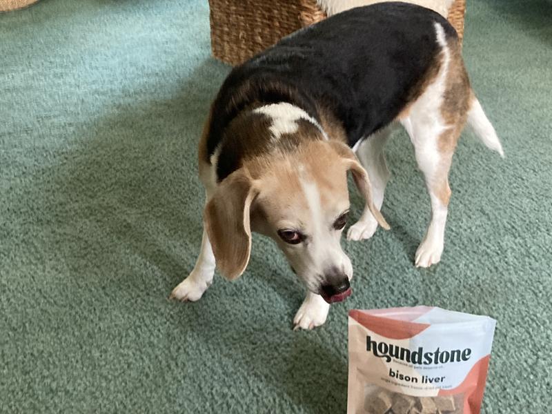 Bug enjoying her new treat