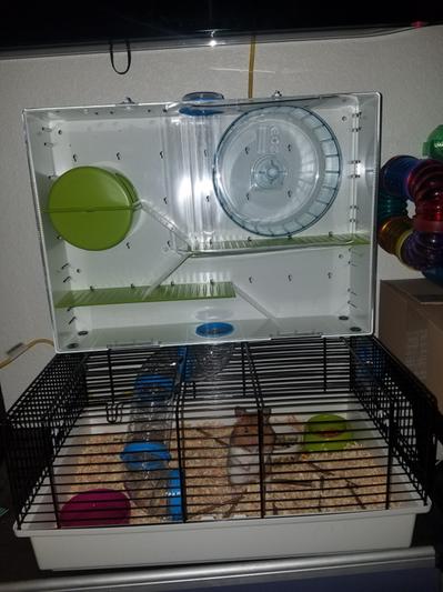 Midwest arcade sale hamster cage