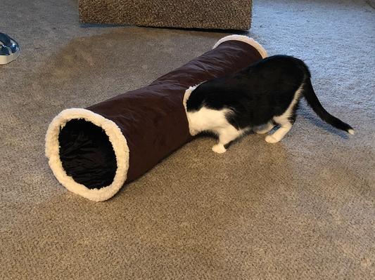 Easyology store cat tunnel