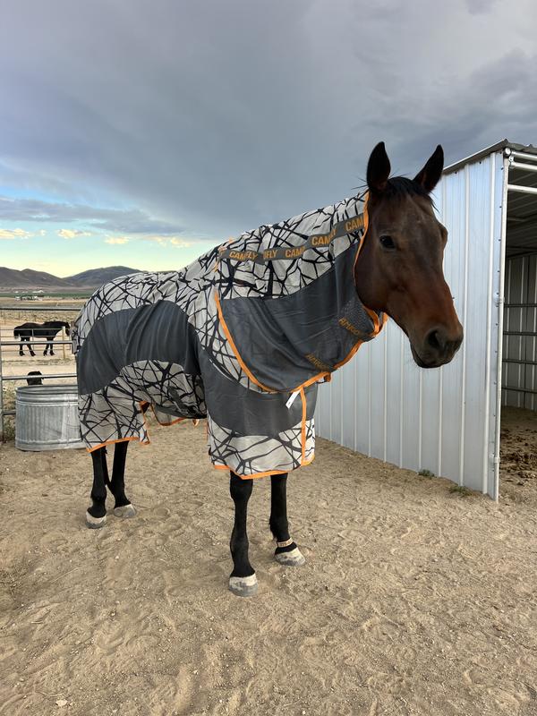 Couverture Anti-mouches Horseware Amigo Intégrée 6'9 - Gris Argent/titane - Neuf Sous Emballage