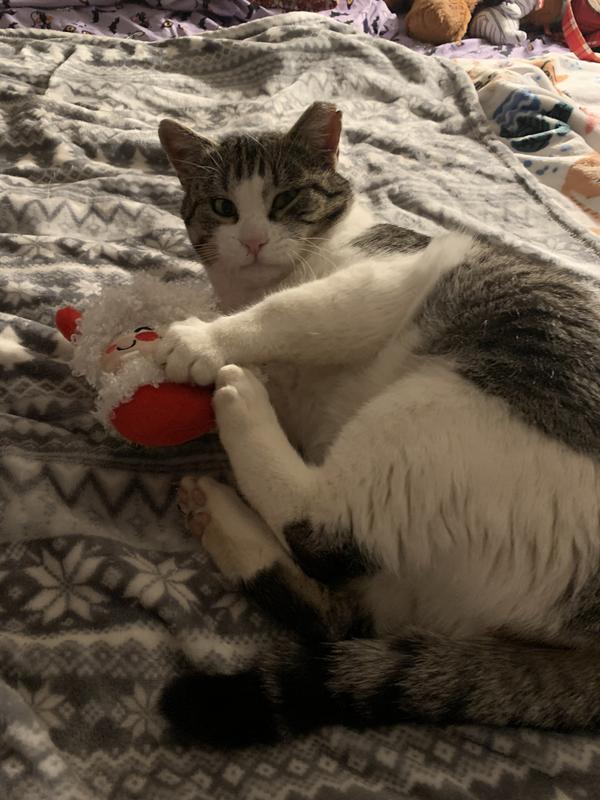 You can’t touch this, it’s mine!