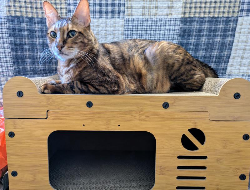 Smaller than you think