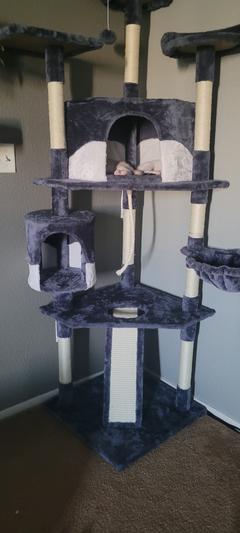 YAHEETECH 79-in Plush Cat Tree & Condo, Dark Gray/White - Chewy.com