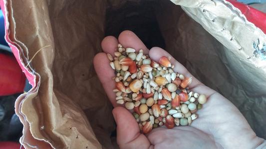 Feed from the bottom of the bag.