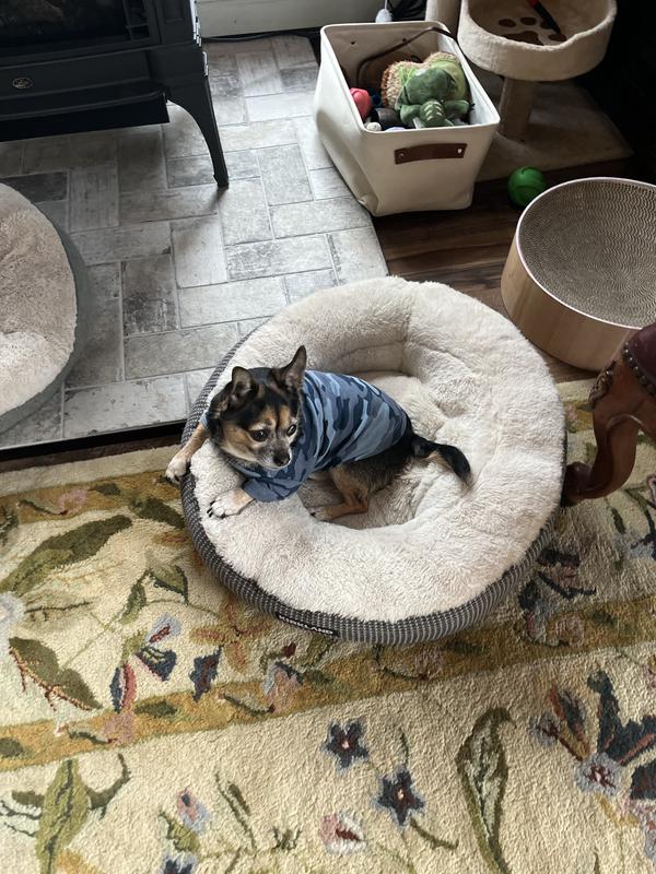 Snuggle bug in his camo