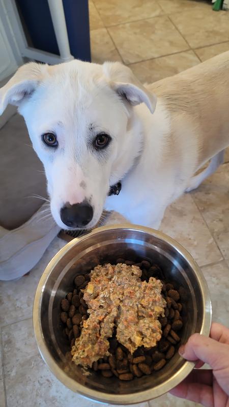 Has been waiting so very patiently for the food