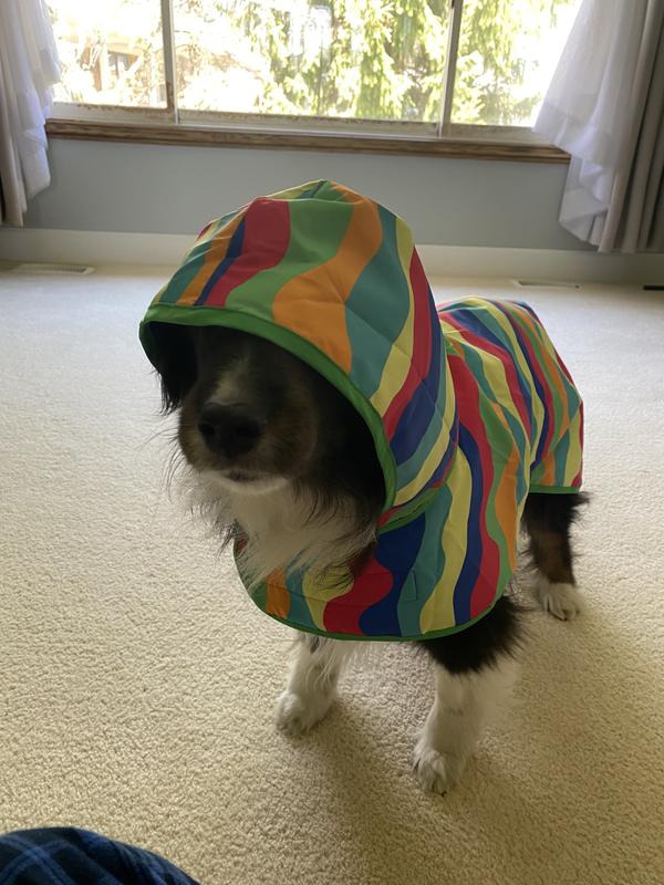 Ready for a stroll in the rain