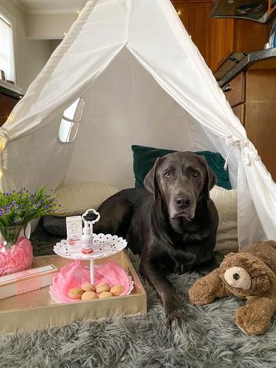 Tea time with treats