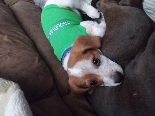 Twig in a size small