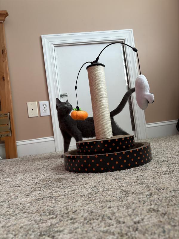 With the toy holder still balanced on top