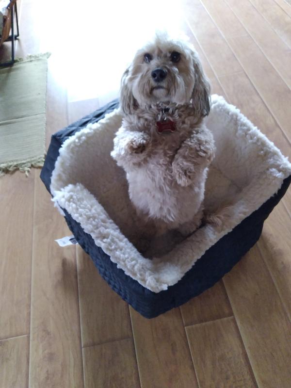 Keep those Outta My Box treats coming, please.