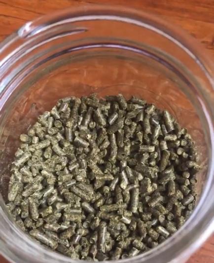 Sherwood Pet Health Timothy Pellet Adult Rabbit Food