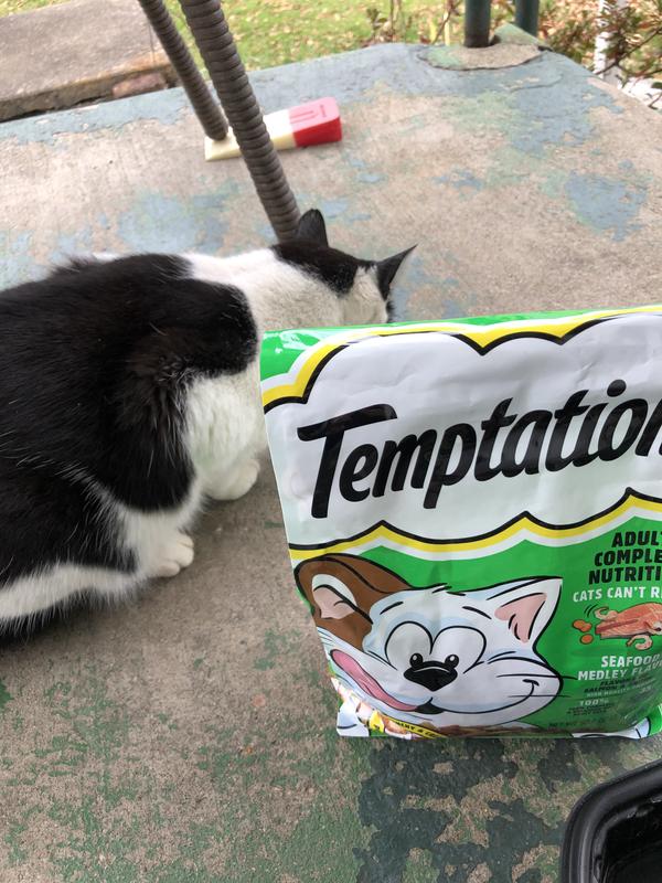 TEMPTATIONS Seafood Medley Flavor Adult Dry Cat Food reviews