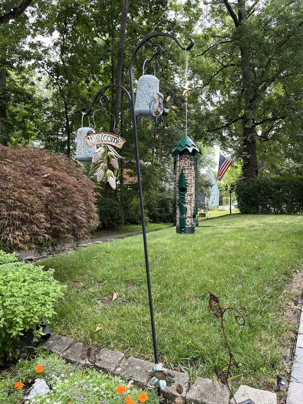 Popular feeder