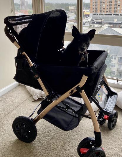 Product Reviews for HPZ Pet Rover Premium Expandable No-Zip Pet Stroller,  X-Large