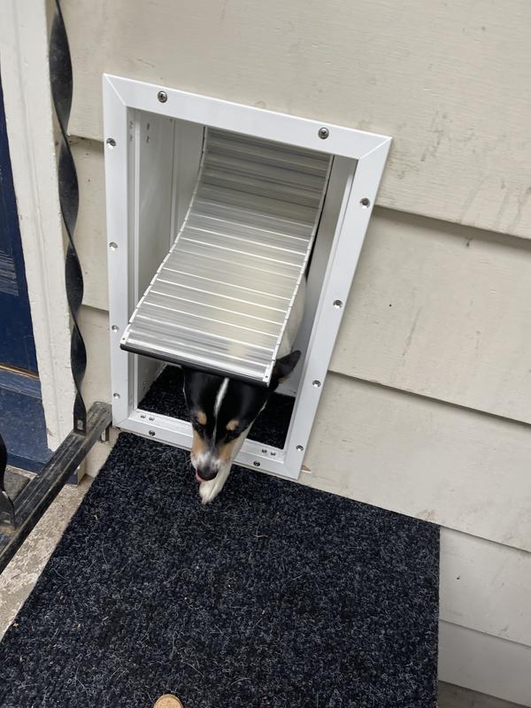 Maddie loves her new door and ramp!