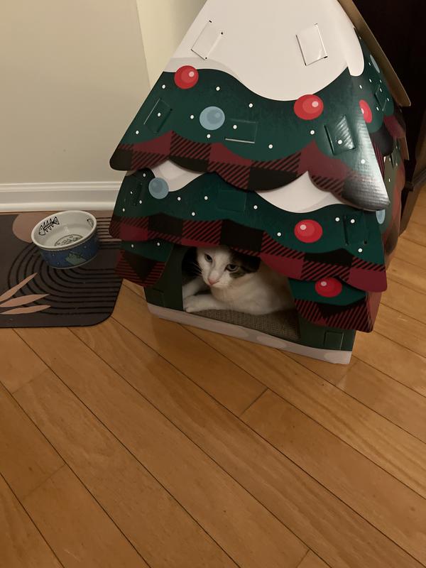 Could not wait to get in.