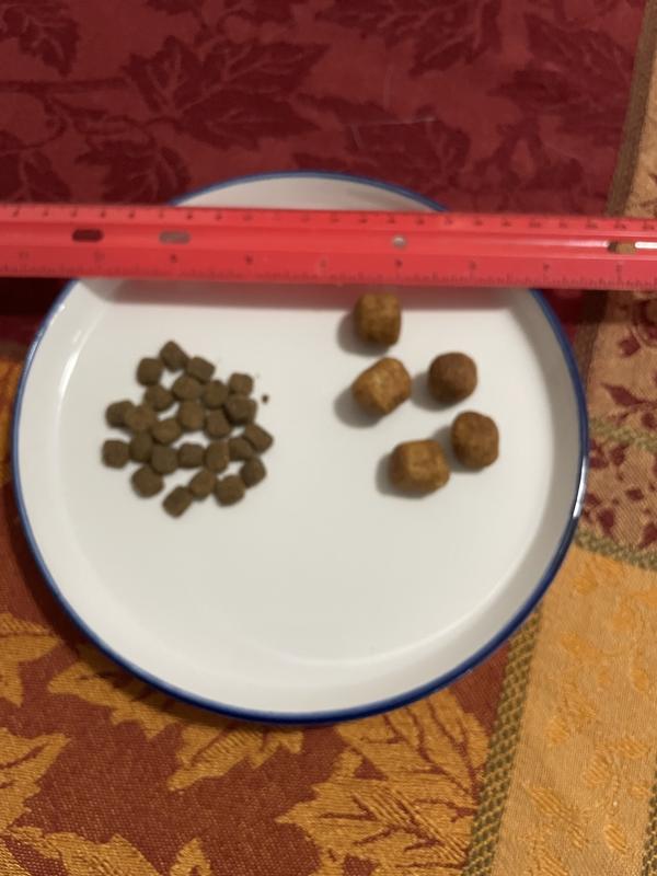 previous food on left. Science diet small and mini breed on right