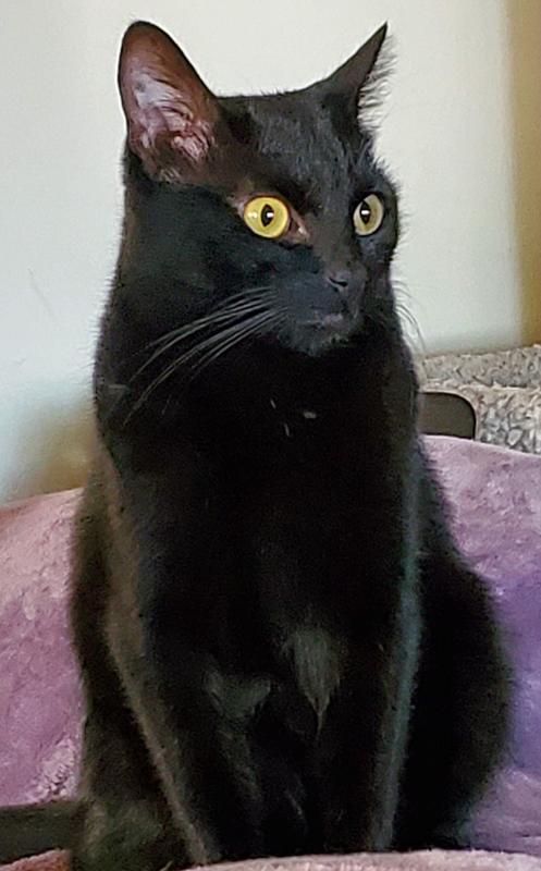 Hartley looking fabulous