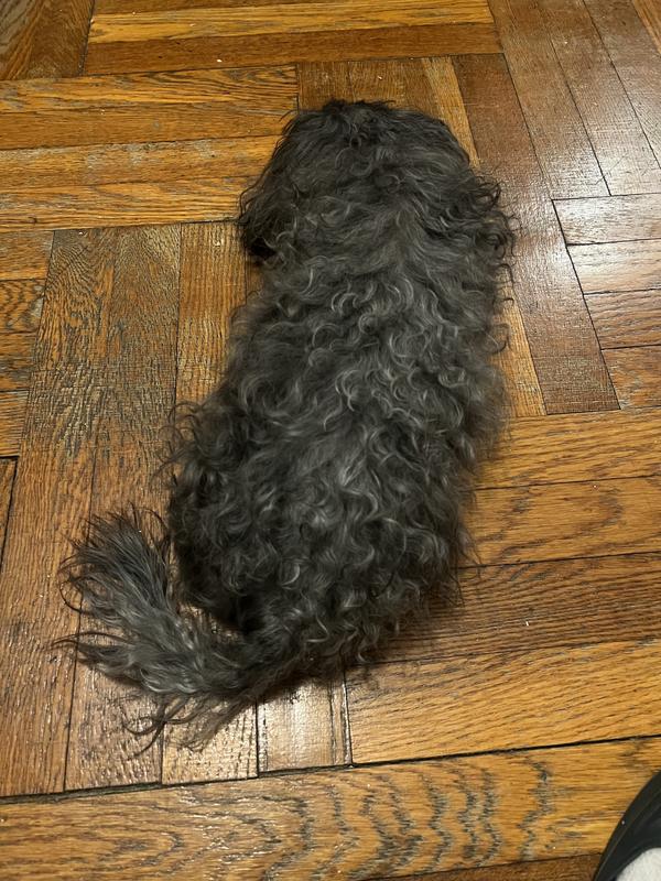 Rossi with her back turn. Hey coat no so bad..💕.)