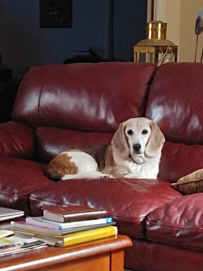 Peaches 16 years old