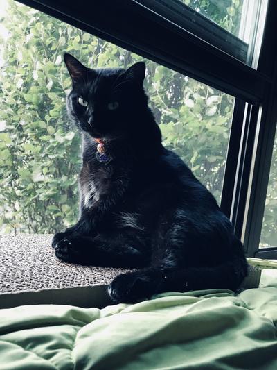 Thank you Chewy , your rock