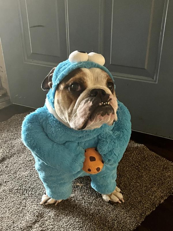 PET KREWE Sesame Street Cookie Monster Dog Cat Costume,